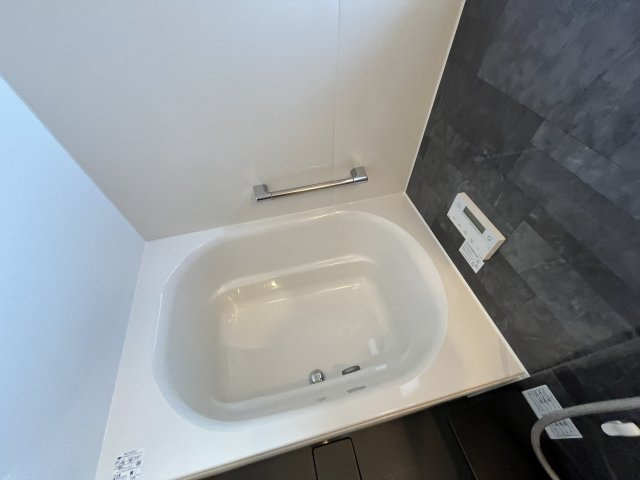 Sansevieria夏原の洗面所