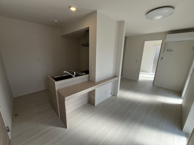 Sansevieria夏原のその他