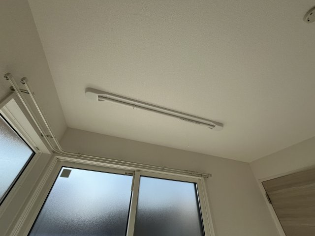 Sansevieria夏原のその他