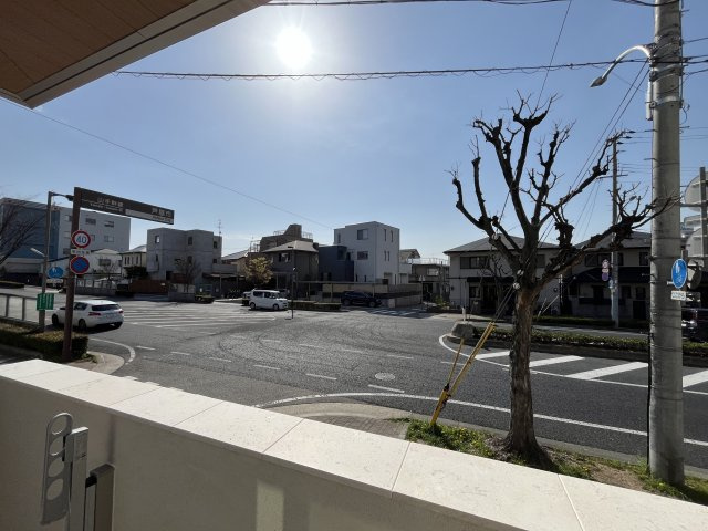 Sansevieria夏原の展望