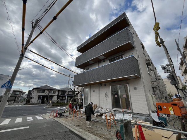 Sansevieria夏原のその他