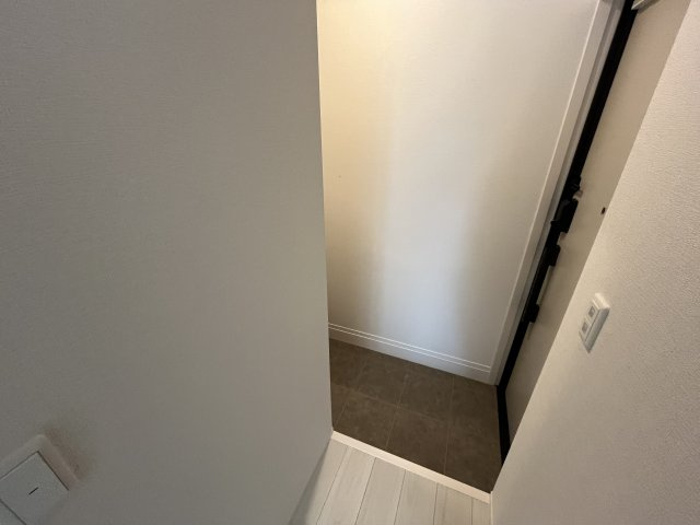 Sansevieria夏原の収納