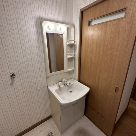 メゾンビエンドの洗面所