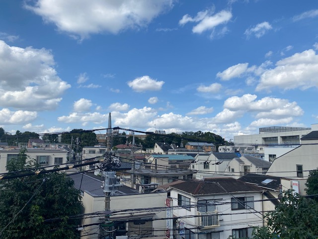 【その他】 | レオリオ