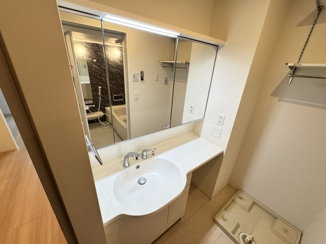 フェリスタ中神の洗面所