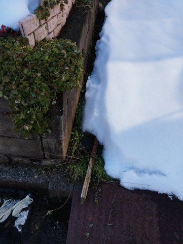 見附市南本町3丁目売土地のその他