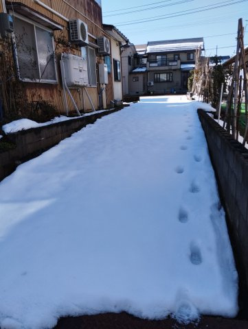 見附市南本町3丁目売土地の周辺