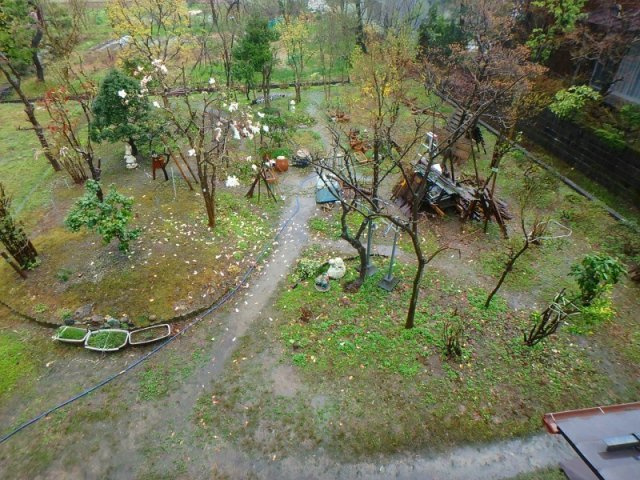 見附市細越2丁目　土地付き中古住宅の庭