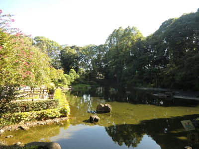 公園