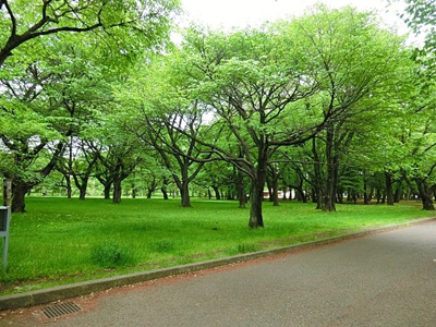 公園