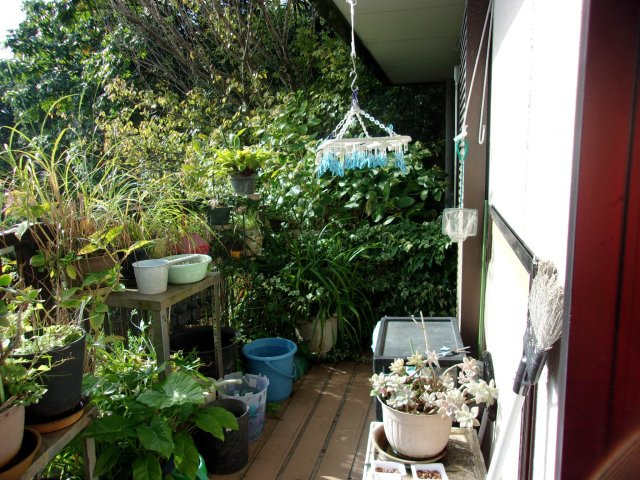 東垂水町字高丸中古戸建のバルコニー