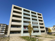 シャン・ド・フルールの画像