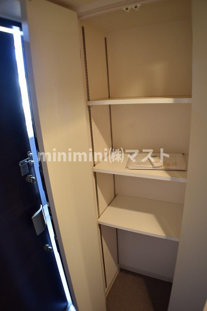 プレサンス難波ヴィータの収納