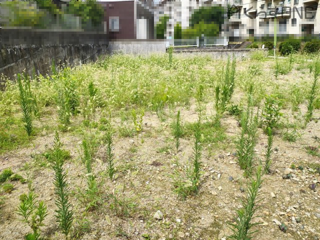 【外観】 | 姫路市青山南2丁目／売土地