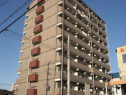 ニュープリーメルの画像