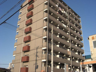 ニュープリーメルの画像