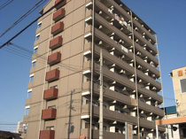 ニュープリーメルの画像