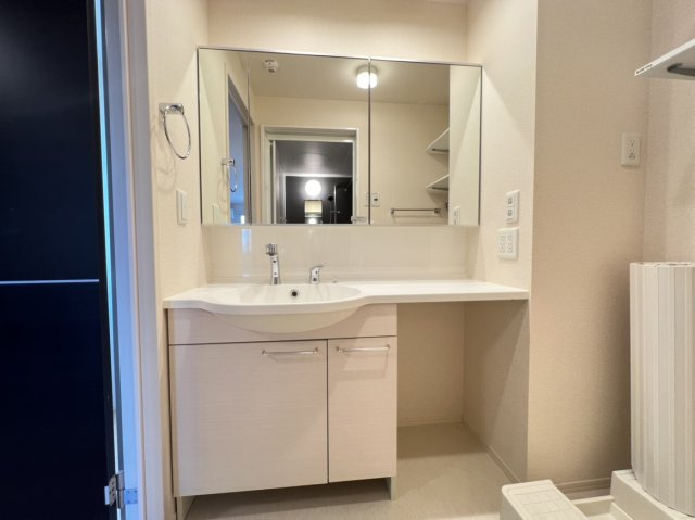 プレシャス高崎の洗面所|高崎、前橋エリアのお部屋探しはエンドスケープまで！お客様の理想お聞かせ下さい♪
クロスや設備の色が異なる場合があります。