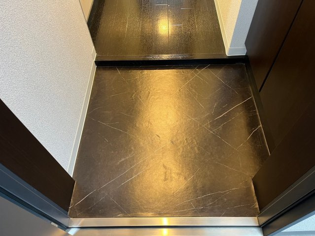 プレシャスコート金山｜名古屋市の賃貸ならMy賃貸の玄関|プレシャスコート金山