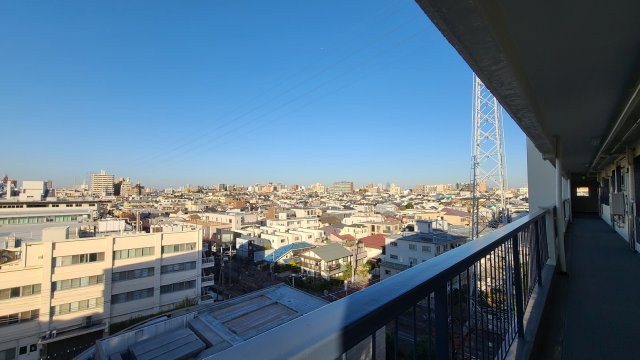 都立大グリーンパークの展望