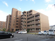 岸和田市箕土路町１丁目のマンションの画像