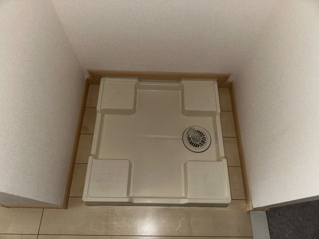 ワイズ　オブリガートのその他