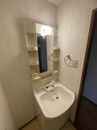 HOMAT2000の洗面所