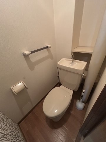 ハイデルベルクのトイレ
