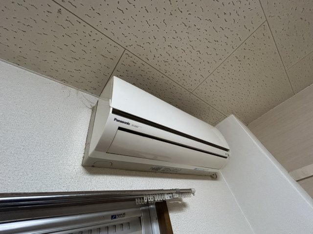 ハイデルベルクの設備