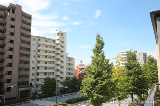 【展望】