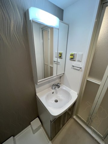 S-RESIDENCE福島玉川Unoの独立洗面台