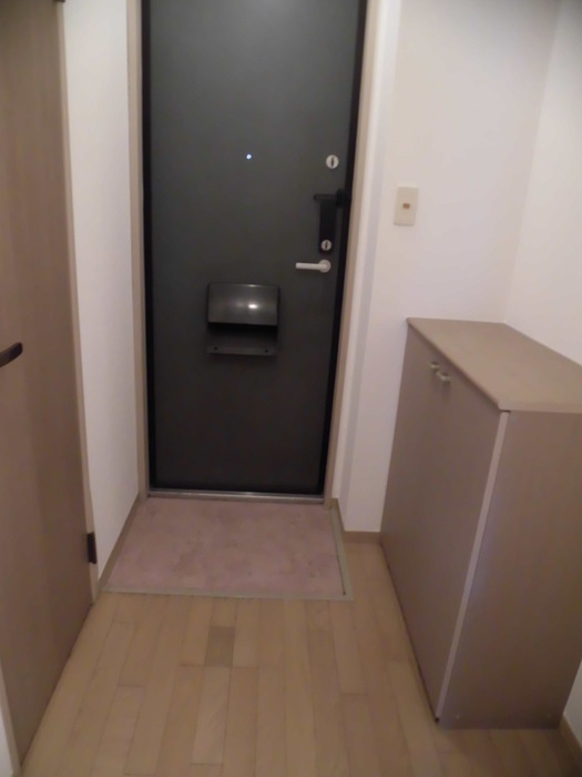 ルミエール A棟の玄関|Ａ102 玄関