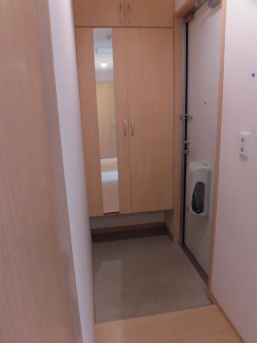 メゾン・ヴェール Aの玄関|Ａ203 玄関