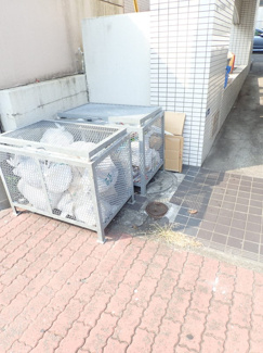 【その他共用部分】 | 敷地内ごみ置き場でごみ出しもらくらく～♪忙しい社会人さんや主婦さんにもうってつけ！