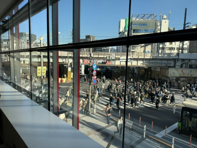 【展望】 | UENO3153