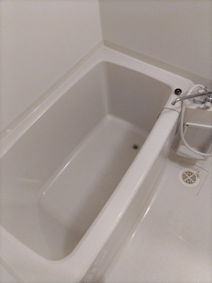 バス