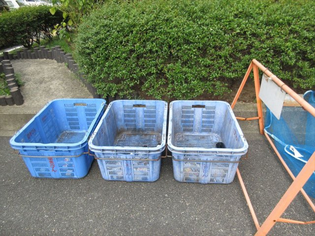 中富住宅のその他共用部分|中富住宅