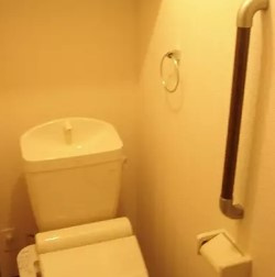 レオネクスト新町のトイレ