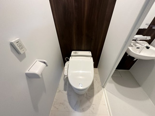 コーポナンゴウのトイレ