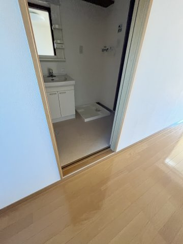 ピアコートBの洗面所