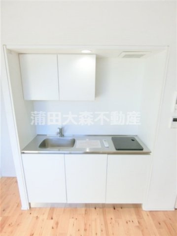 hikarium（ヒカリウムのキッチン|2口IHシステムキッチン