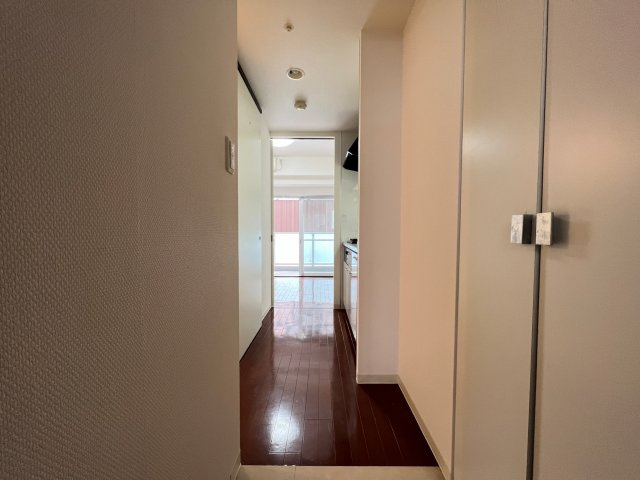 ルネ日本橋アネーロの玄関
