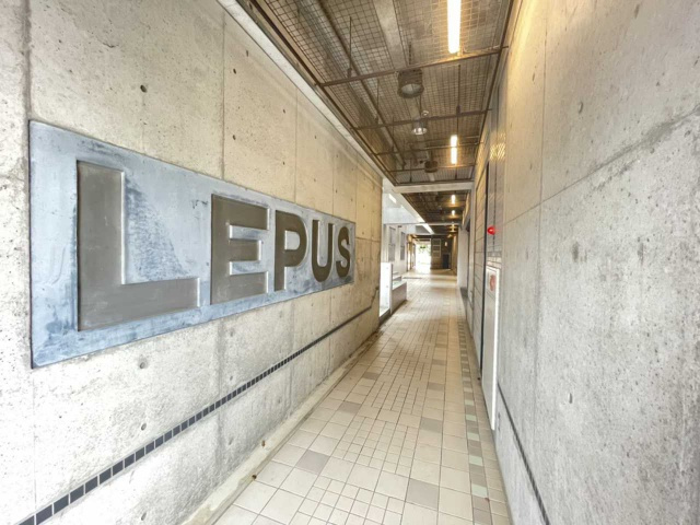 十塚 LEPUS(リーパスビル)のその他