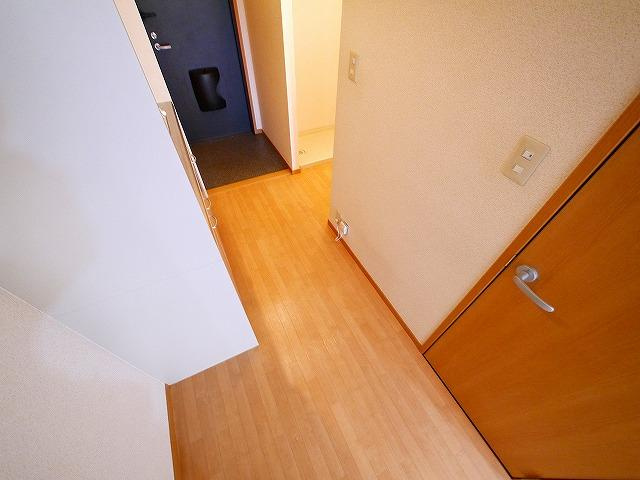 リュミエールみあとのその他|廊下になります