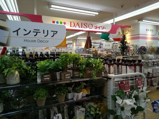 ダイソー経堂店まで300m