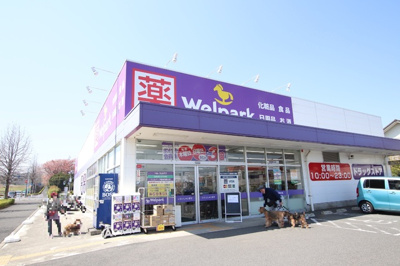 ドラッグストア