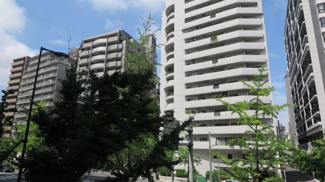 レオンコンフォート堀江公園の展望