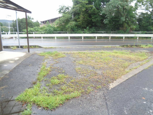 平戸橋町神田 貸店舗の庭