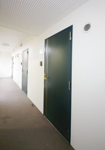 アネマエコーレのその他