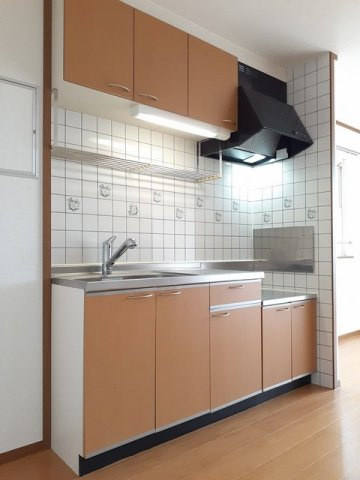 サニ－・ファウンテンのキッチン